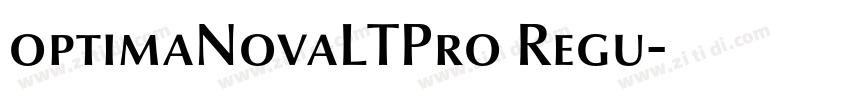 optimaNovaLTPro Regu字体转换